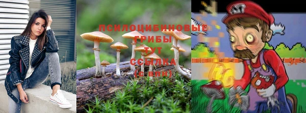 мяу мяу мука Надым