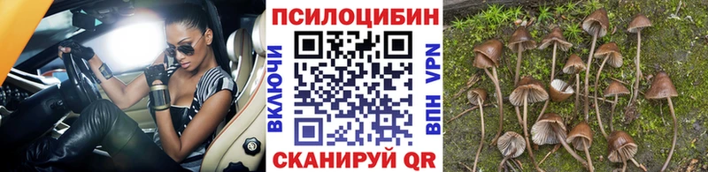 Галлюциногенные грибы Cubensis  мориарти как зайти  Рыльск 